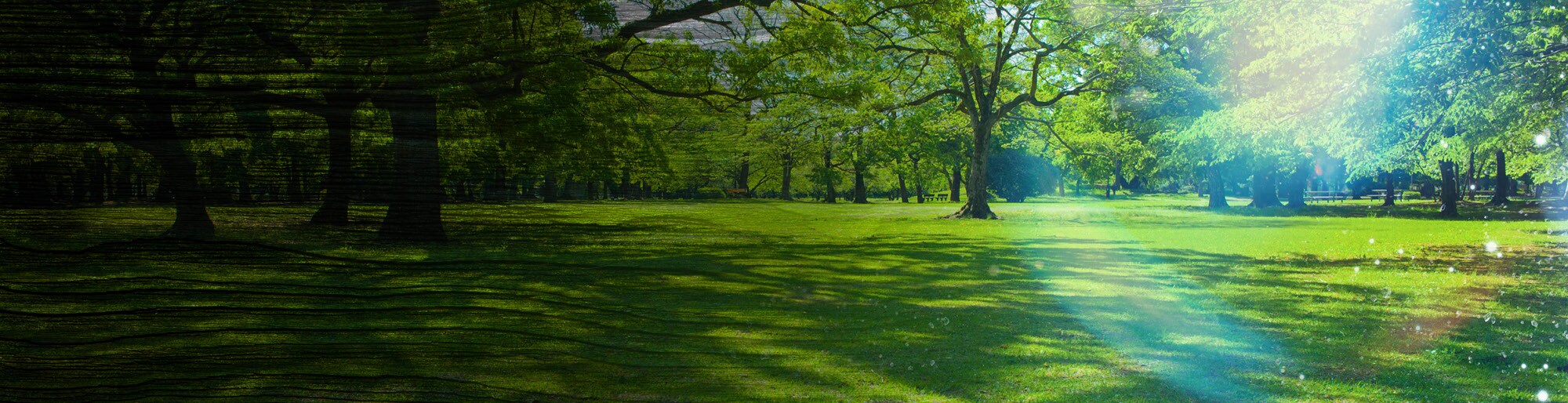 Liberty Chrysler Dodge Jeep Ram in Hinesville GA Near Jesup & Fort Stewart