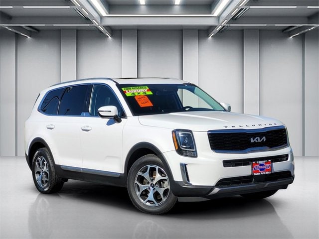 2022 Kia Telluride EX's photo