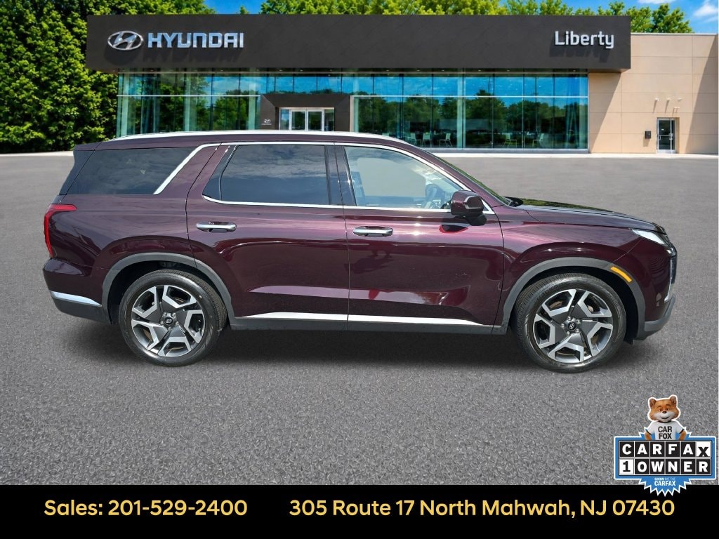 2024 Hyundai Palisade Limited - Photo 8