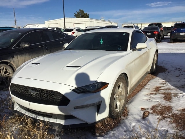 2020 Ford Mustang EcoBoost's photo