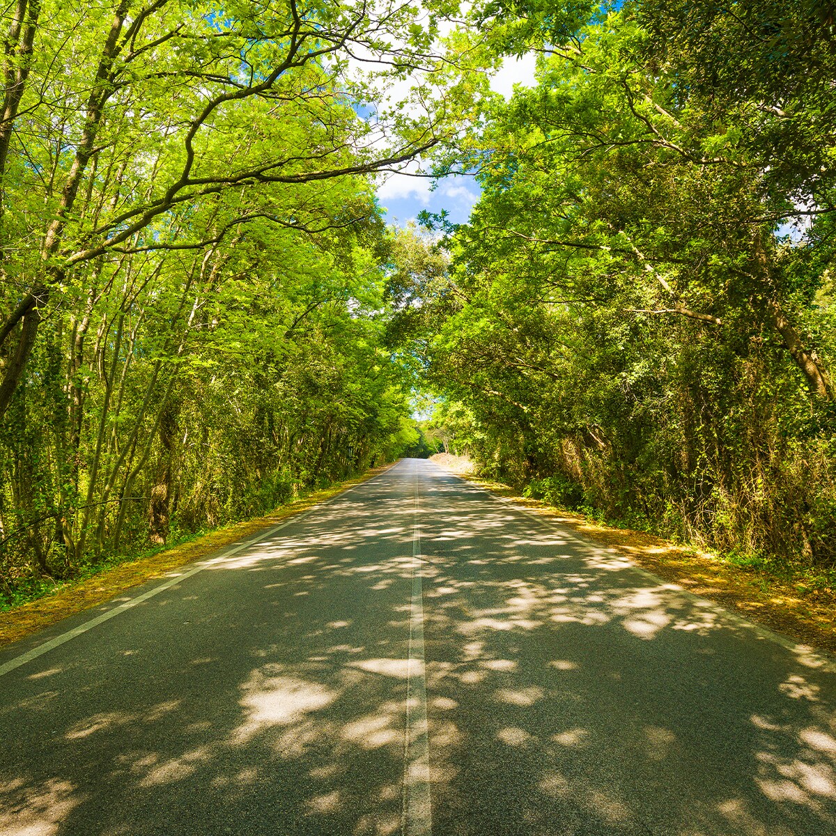 New & Used Kia Cars, SUV Dealer in Ramsey, NJ at Liberty Kia