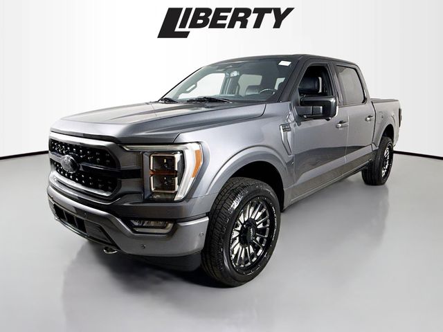 2021 Ford F-150 Platinum photo 3