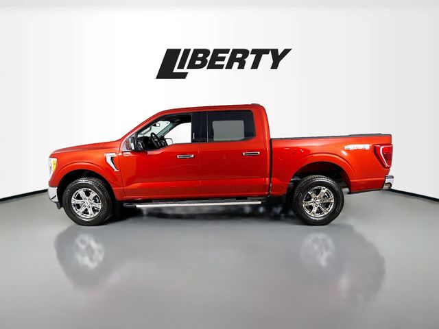 2023 Ford F-150 XLT photo 4