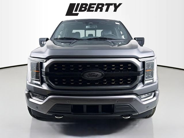2021 Ford F-150 Platinum photo 2