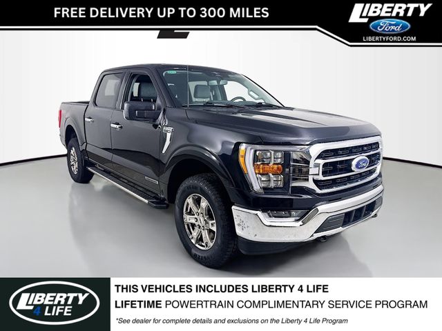 2023 Ford F-150 XLT's photo