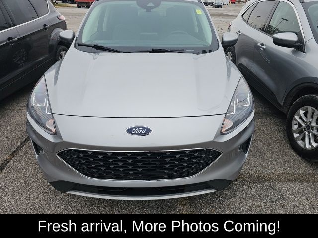 2021 Ford Escape Hybrid SE photo 2