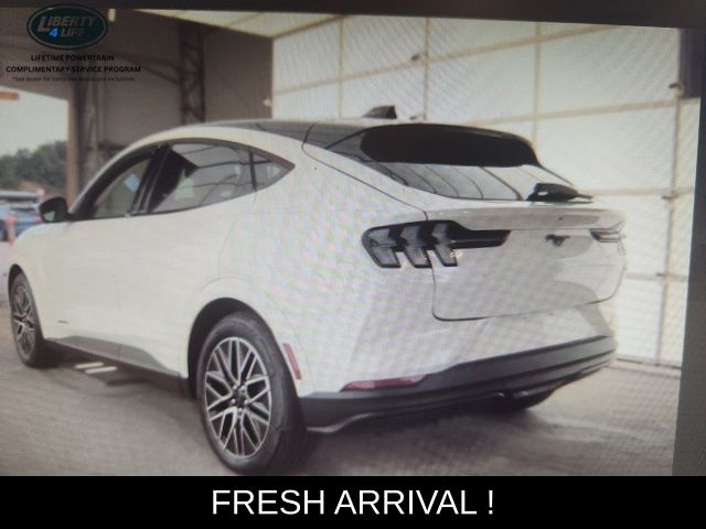 Used 2025 Ford Mustang Mach-E Premium AWD with VIN 3FMTK3SU3SMA00935 for sale in Aurora, OH