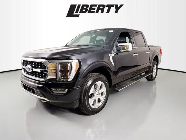2022 Ford F-150 Platinum photo 3