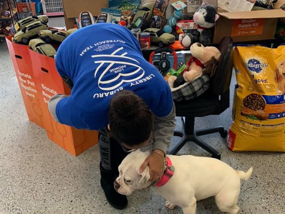 safe harbor humane safe harbor humane