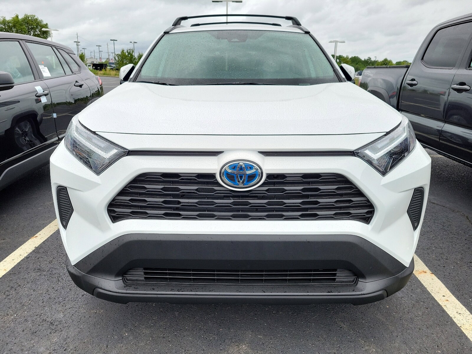 2023 Toyota RAV4 Hybrid XLE photo 2