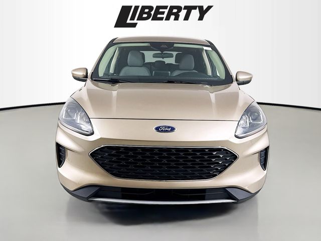 2020 Ford Escape SE photo 2