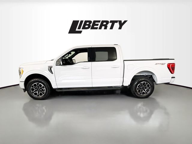 2023 Ford F-150 XLT photo 4