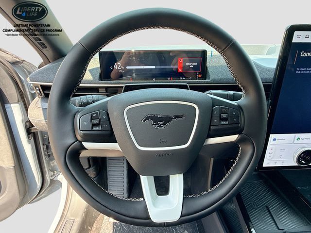 2025 Ford Mustang Mach-E GT - Photo 11