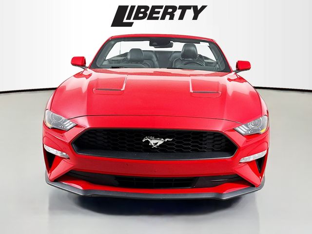 Used 2023 Ford Mustang EcoBoost Premium with VIN 1FATP8UH5P5103358 for sale in Vermilion, OH