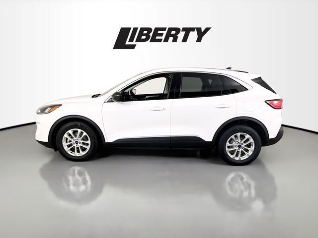 2022 Ford Escape Hybrid SE photo 4