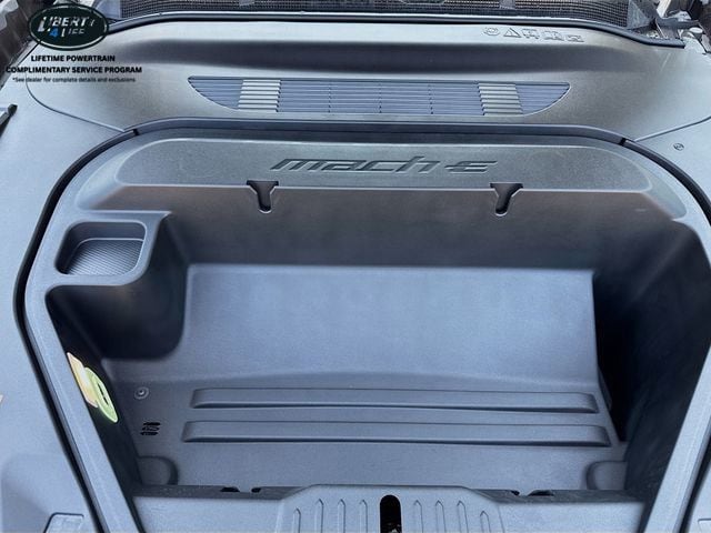 2025 Ford Mustang Mach-E GT - Photo 29