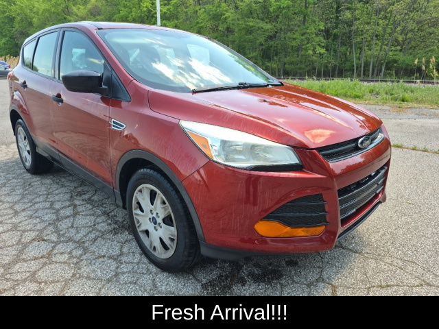 2014 Ford Escape S's photo