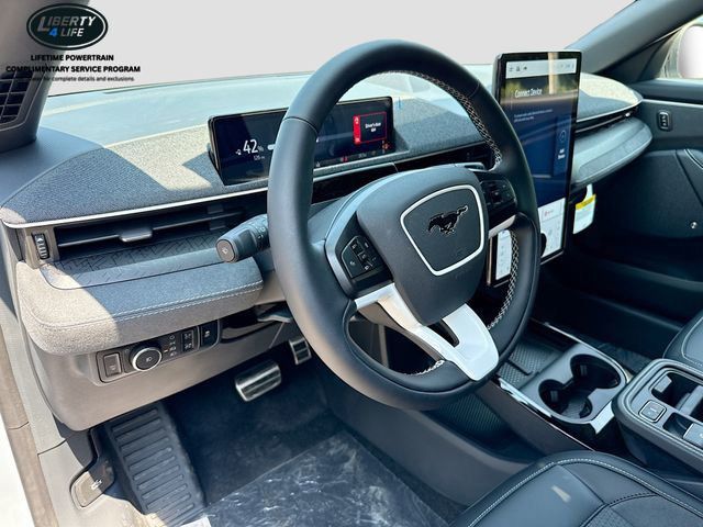 2025 Ford Mustang Mach-E GT - Photo 9
