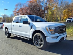 Used Ford F-150 For Sale in Green Brook