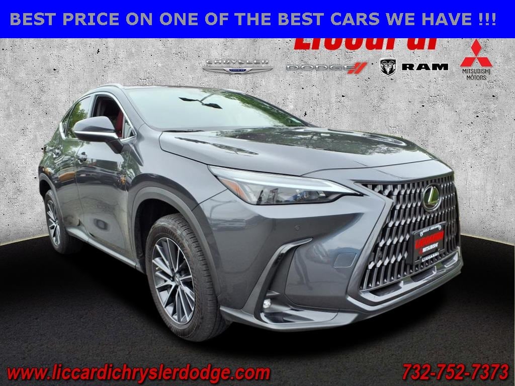 2022 Lexus NX 350's photo
