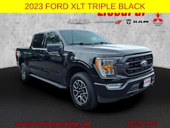 Used Ford F-150 For Sale in Green Brook