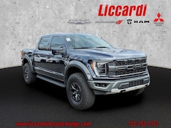 Used Ford F-150 For Sale in Green Brook