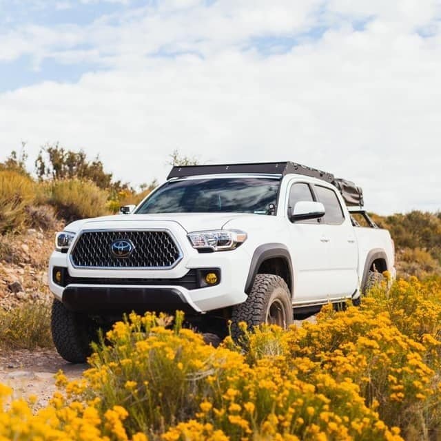 Taco-rack.jpg