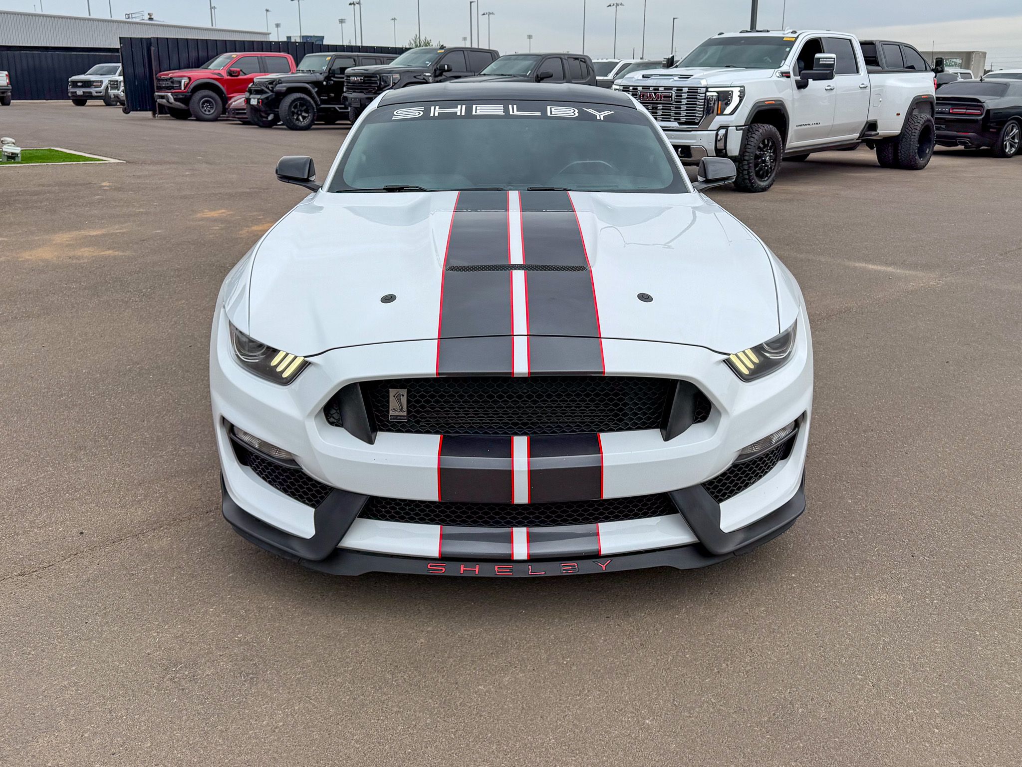 2017 Ford Mustang Shelby GT350 photo 2