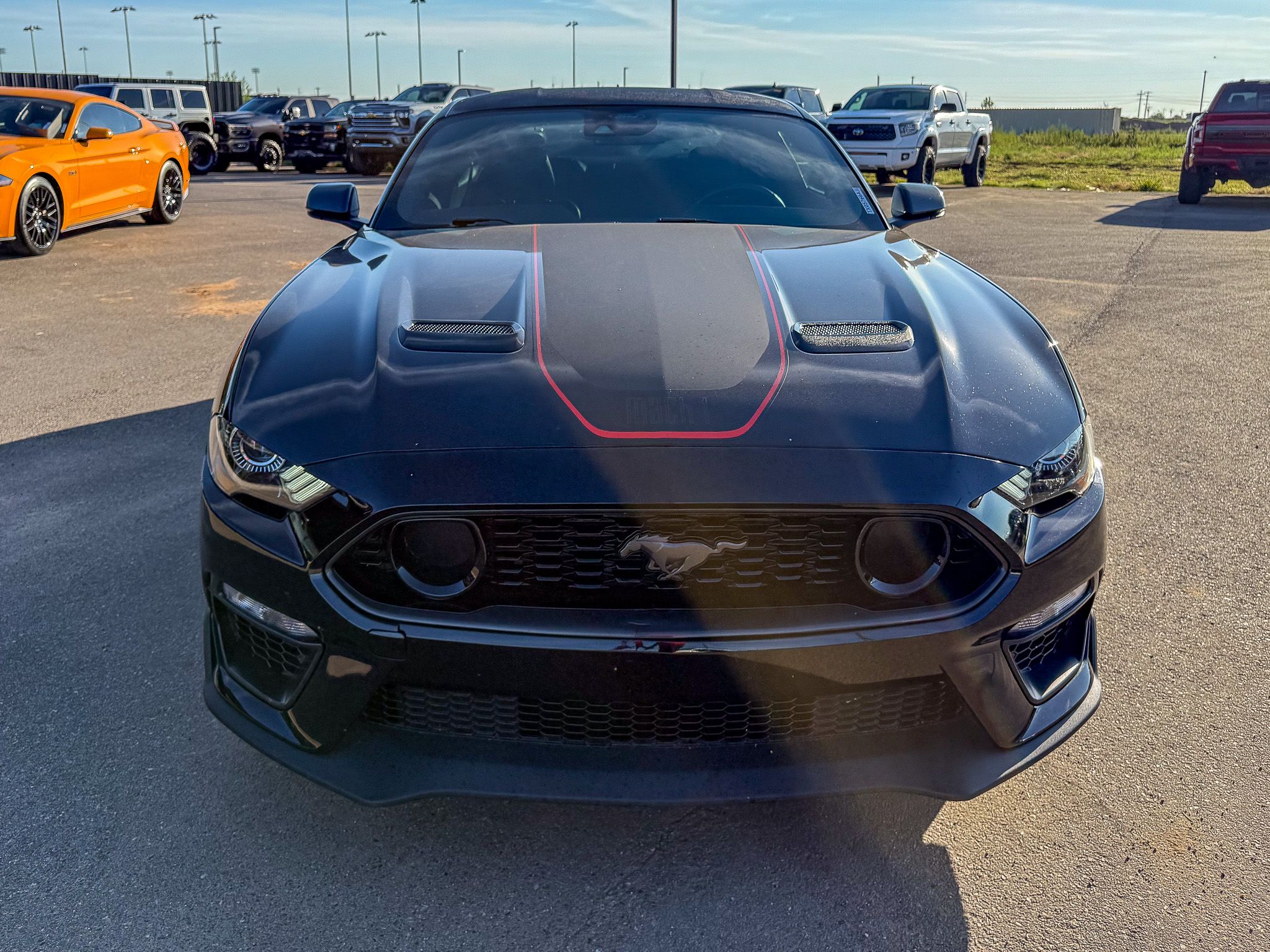 2023 Ford Mustang Mach 1 photo 3
