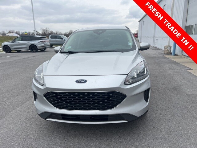 2020 Ford Escape SE photo 4