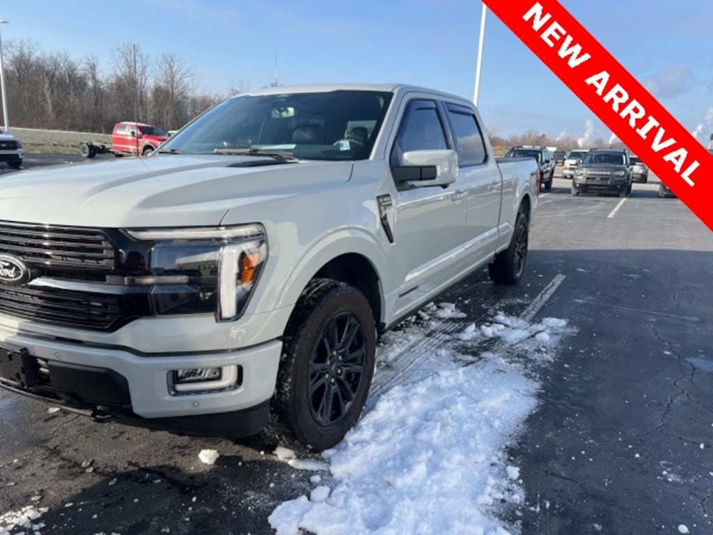 Used 2024 Ford F-150 Platinum Truck