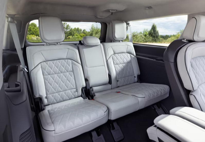 Navigator rear entertainment view