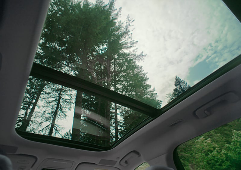 Steering wheel and screen