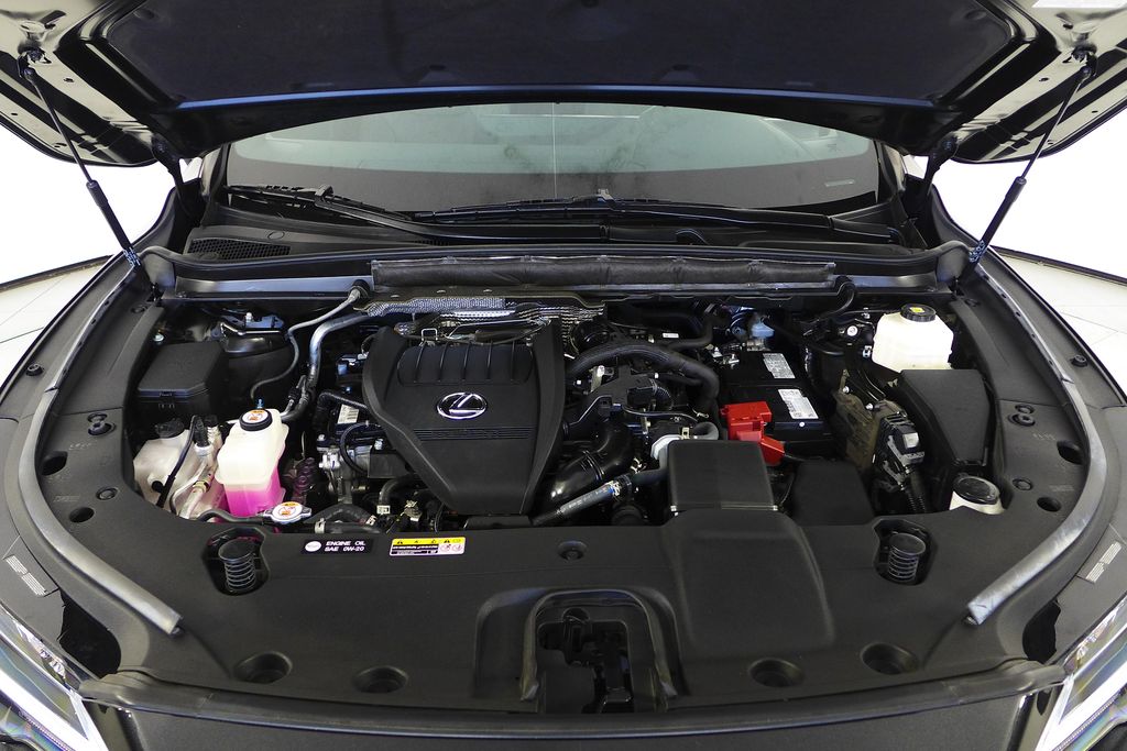 2024 Lexus RX 350 - Photo 6