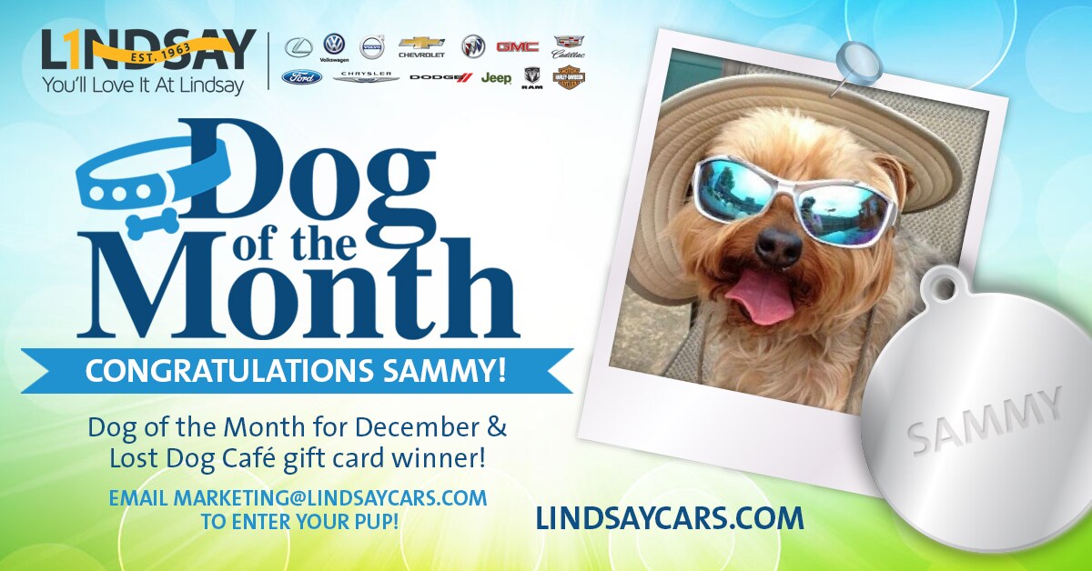 LAG_DogOfTheMonth_FBSocial_Dec2017 (2).jpg