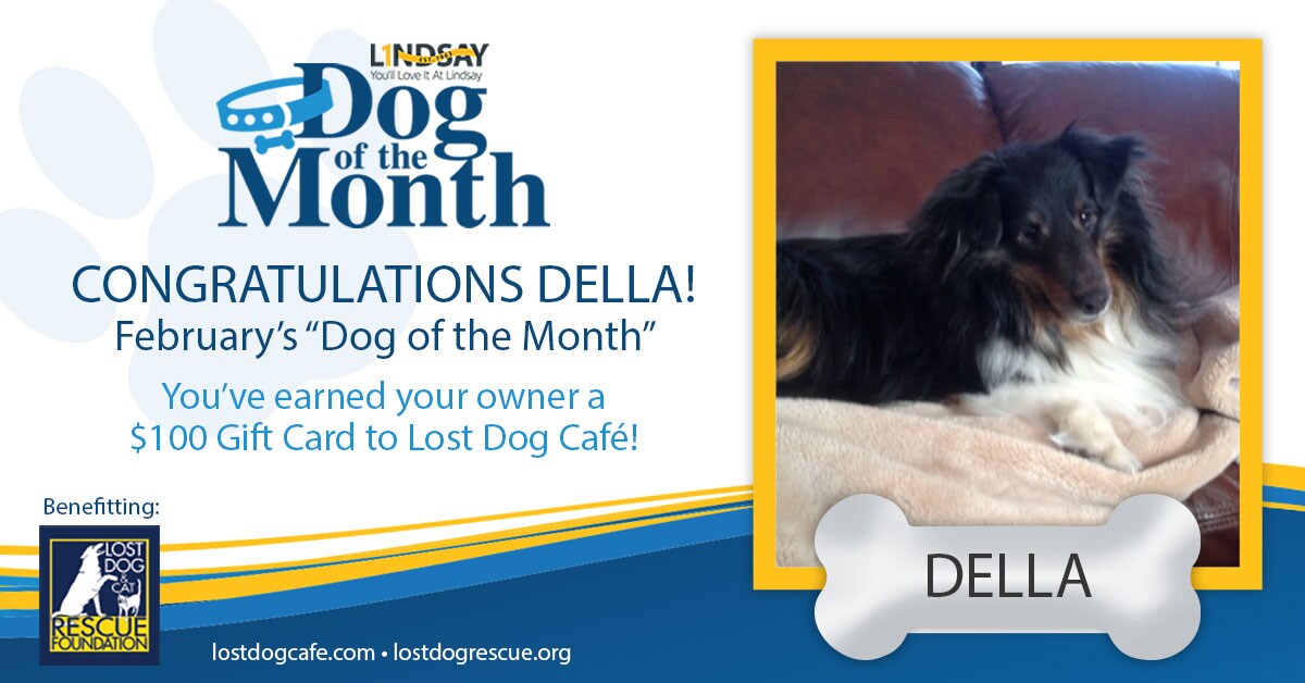 Feb_LAG_DogOfTheMonth_Della.jpg