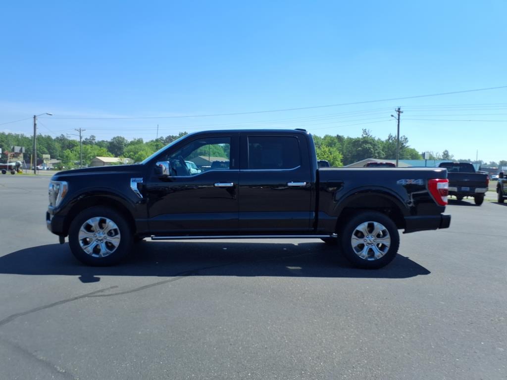 2023 Ford F-150 Platinum - Photo 3