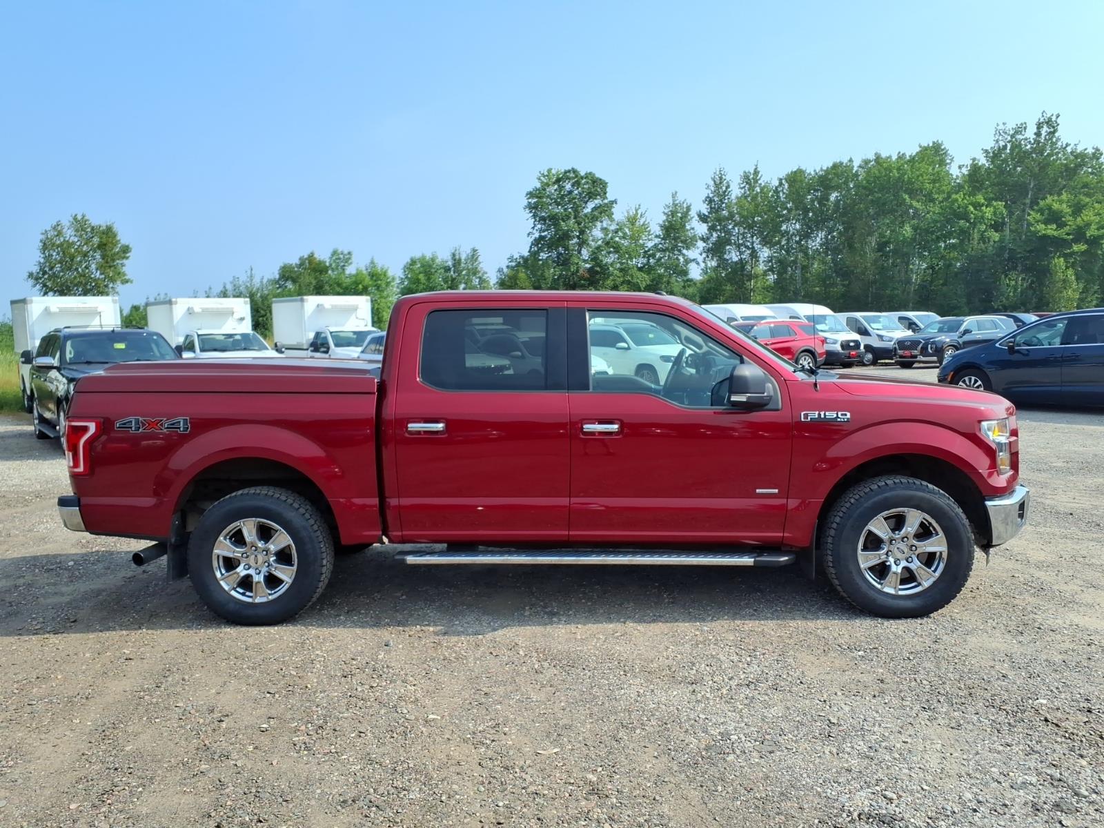 Photo 7