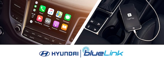 Blue Link Phone Number >> Blue Link Phone Number Upcoming New Car Release 2020 Blue Link Phone Number >> Blue Link Phone Number Upcoming New Car Release 2020