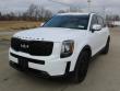 Used 2022 Kia Telluride SX SUV