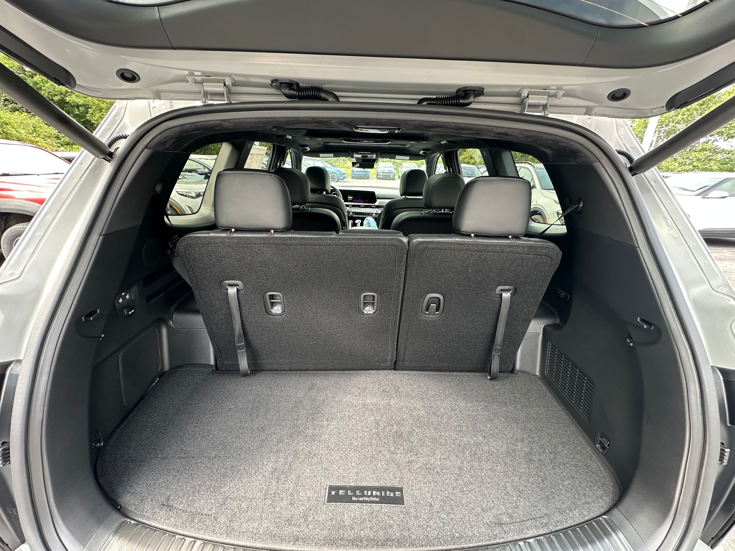 2025 Kia Telluride SX Prestige X-Line - Photo 12