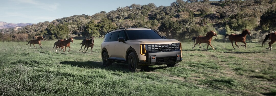 Kia Telluride