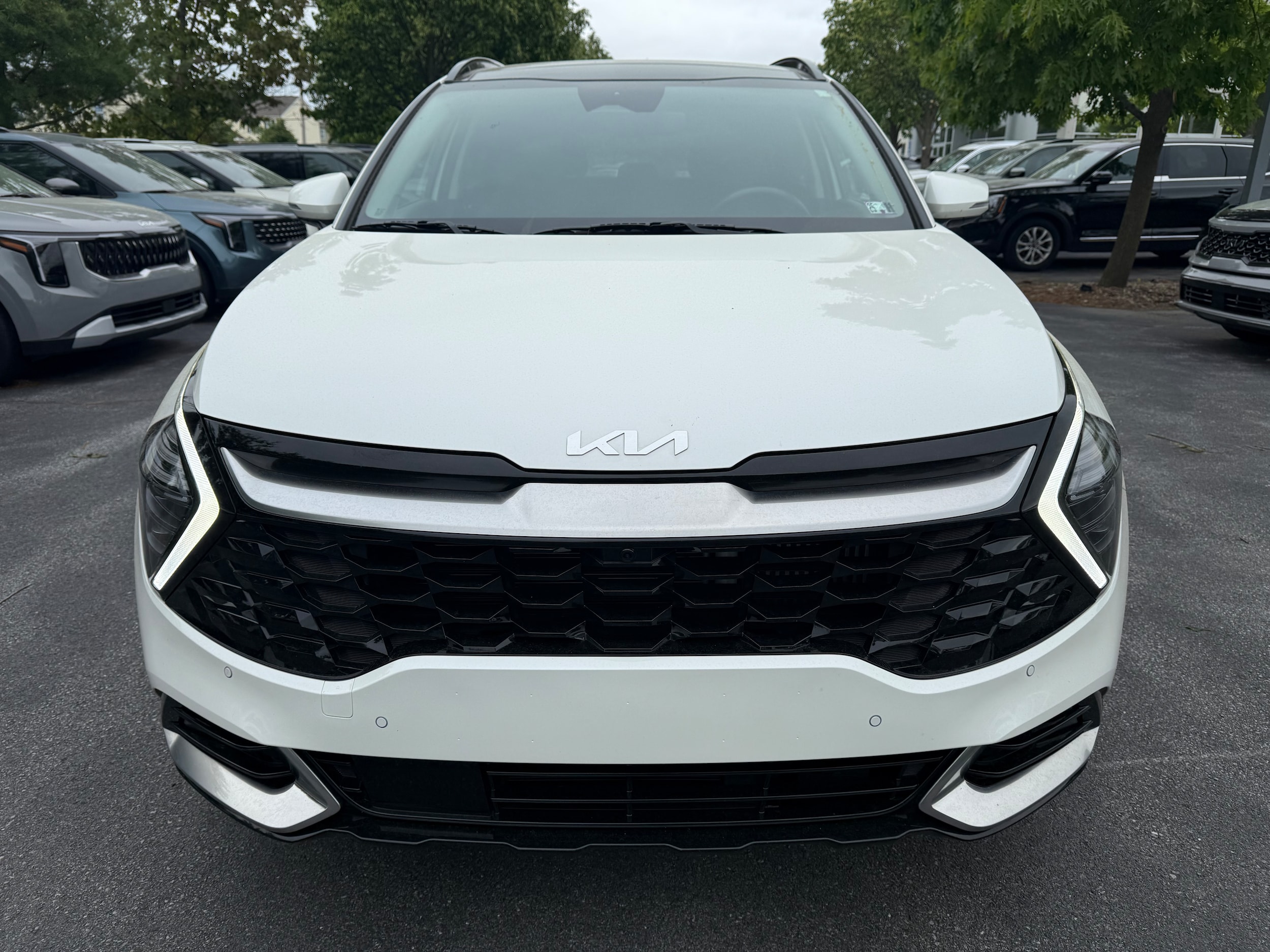 Certified 2023 Kia Sportage SX Prestige Hybrid with VIN KNDPXCAG5P7037506 for sale in State College, PA