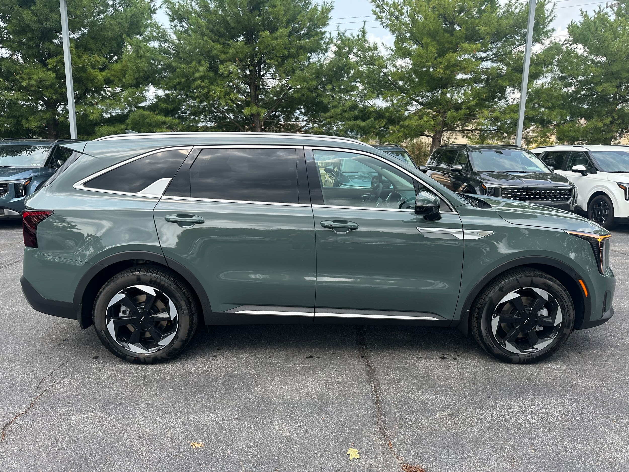 2025 Kia Sorento Hybrid EX photo 4