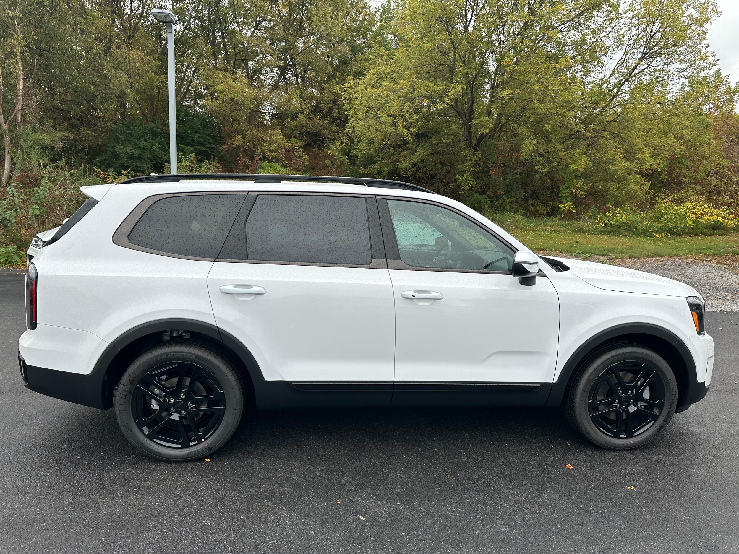 2025 Kia Telluride EX X-Line photo 3