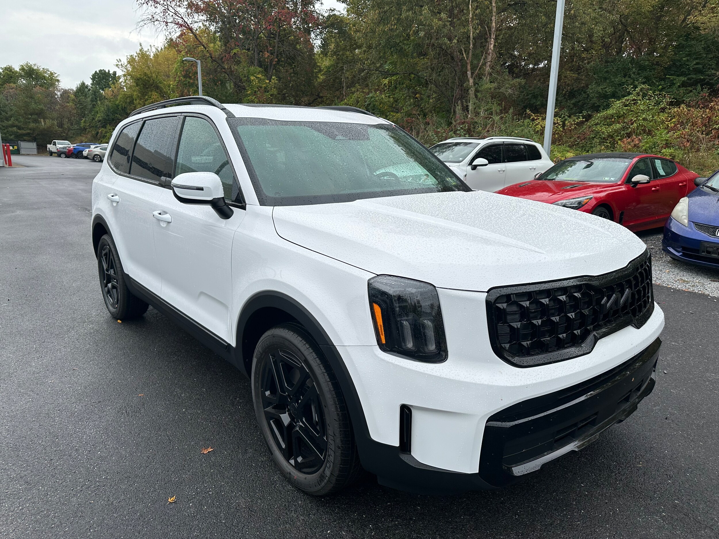 2025 Kia Telluride EX X-Line photo 2