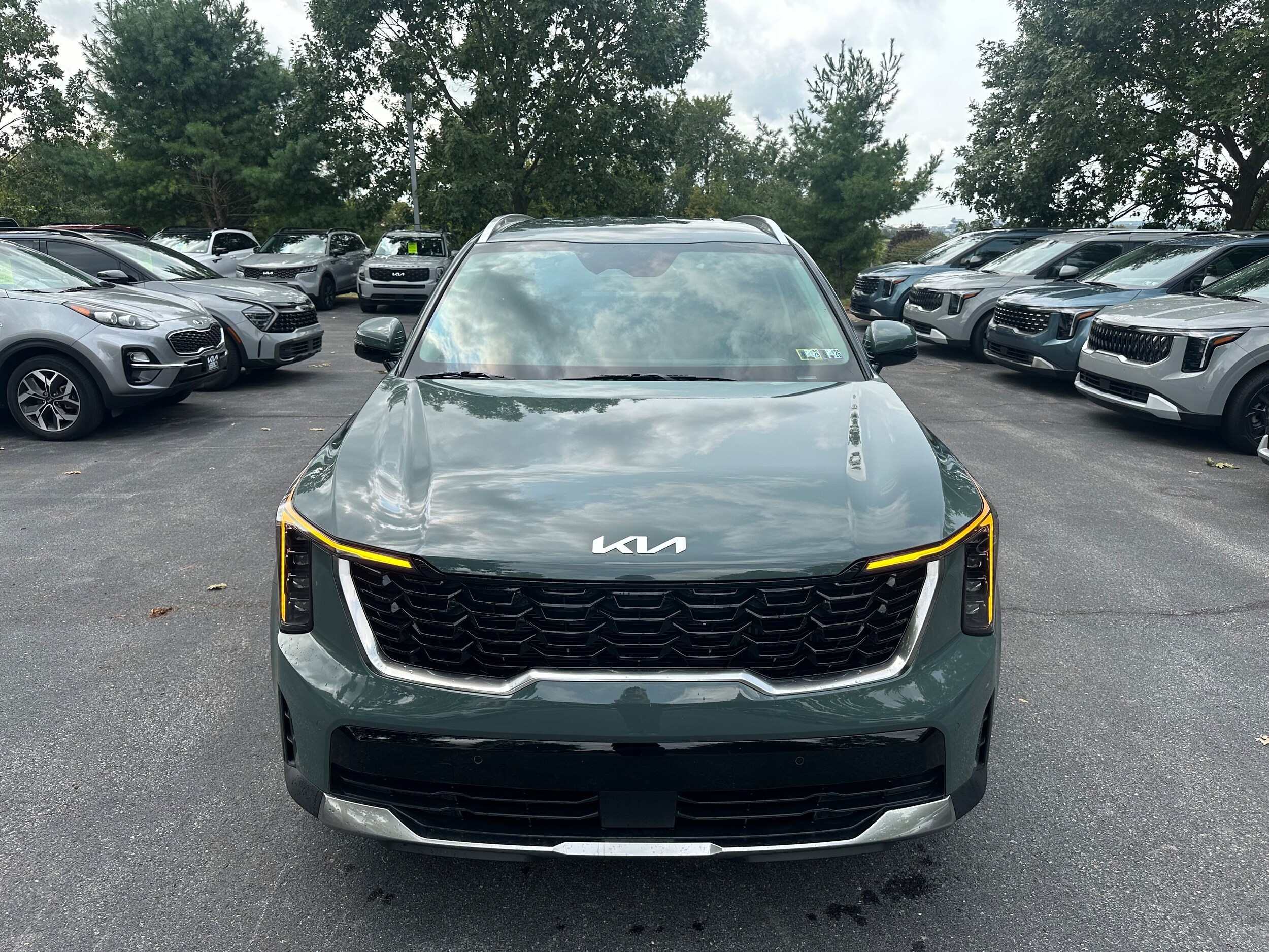 2025 Kia Sorento Hybrid EX photo 2