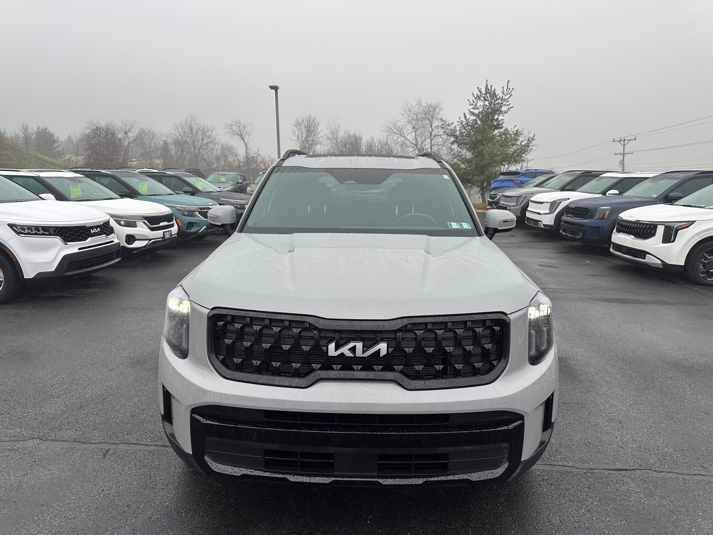 2024 Kia Telluride EX X-Line photo 2