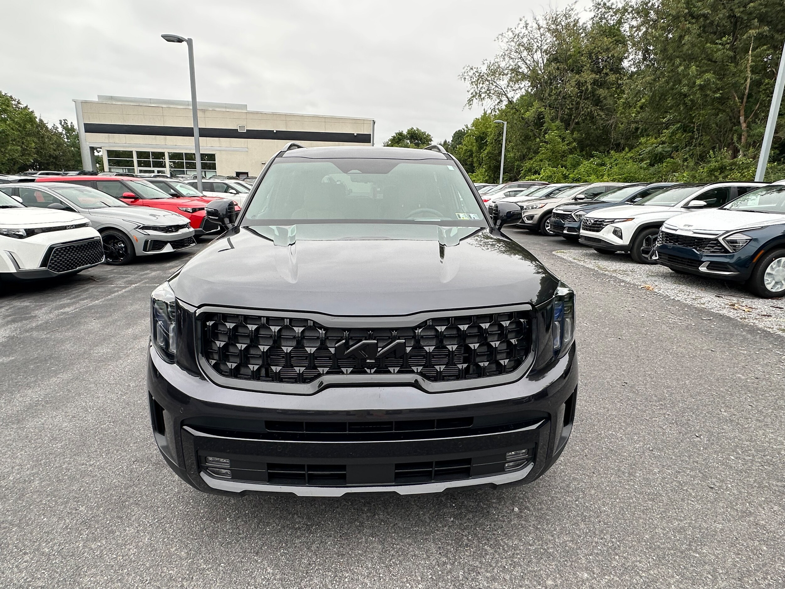 2025 Kia Telluride X-Pro photo 2