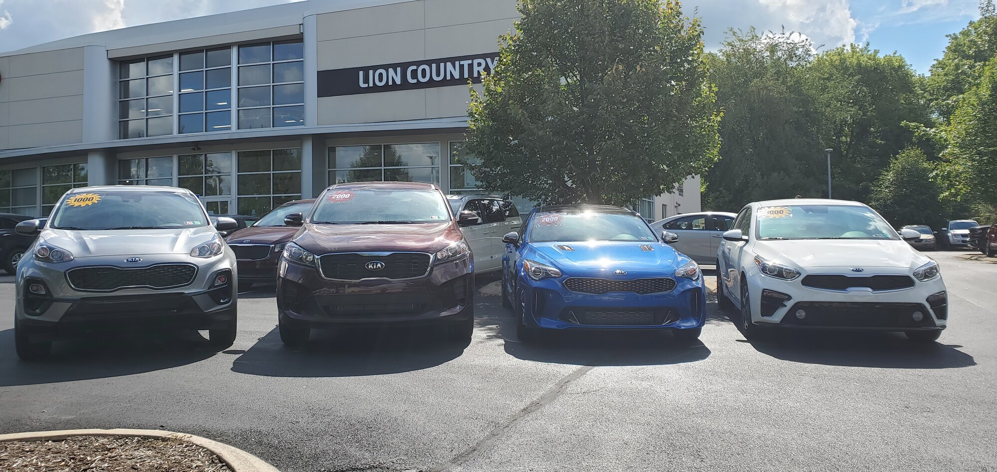 Lion Country Kia State College, PA New KIA &amp; Used Car